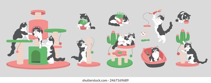 Cartoon Tuxedo cat with Cat Accessories and Supplies Elements Collection,Cat Behavior, playing toy, eating food, cat tree,scratching post,catnip,Cat teaser,cat litter ,cat food 