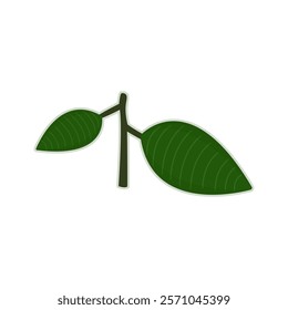 Cartoon two leaves on a branch. Vector illustration.