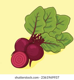 Cartoon Two Whole Beetroot and Half Beetroot