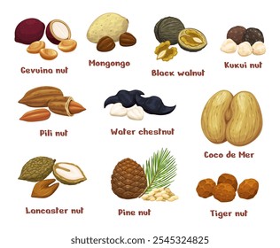 Cartoon uncommon, unusual and unique nuts, vector food. Black walnut, water chestnut, mongongo, coco de mer and exotic kukui, pine, pili, gevuina, lancaster and tiger nuts, dried seeds and nutshells