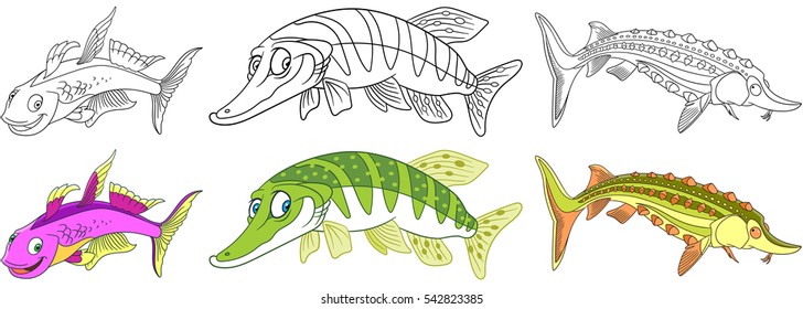 Cartoon underwater animals set. Furcata, pike fish, sturgeon. Coloring book pages for kids.