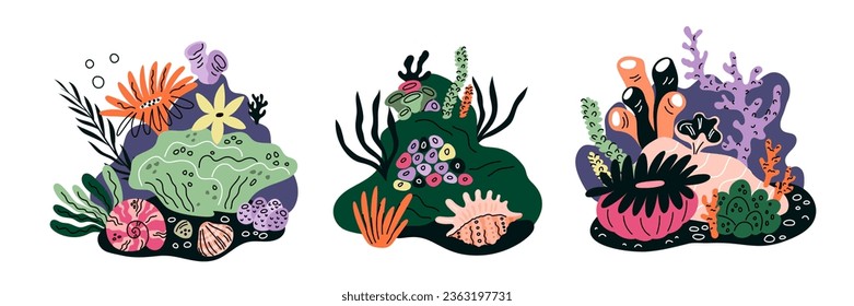 Cartoon underwater compositions. Beautiful seashells and decorative algae. Marine corals. Oceanic plants and seaweeds. Coral reefs. Aquatic conch. Garish vector undersea