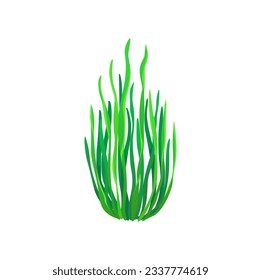 Cartoon underwater Gutweed seaweed plant. Aquarium and sea algae. Undersea plant, tropical sea underwater seaweed or coral reef water flora, ocean or aquarium isolated vector aquatic laminaria algae