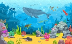 Cartoon Underwater Landscape. Blue Whale, Fish Shoals And Sea Animals Between Seaweeds. Vector Background For Game Or Wallpaper With Turtle, Stingray, Puffer Fish And Squid At Seafloor With Ruins
