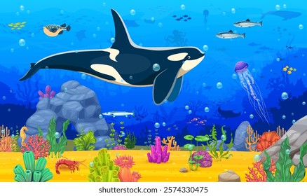 Cartoon underwater landscape game background with killer whale animal character and bottom seaweeds. Vector seafloor location level with sea animals like a orca, fish shoals and jellyfish, swimming