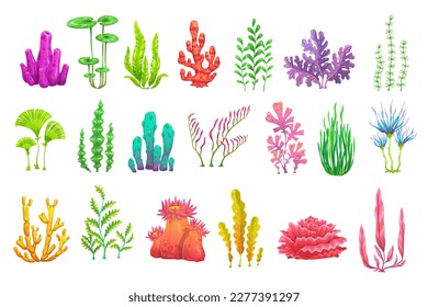 Cartoon underwater seaweed plants. Aquarium and sea algae. Coral reef vector wildlife nature biodiversity. Ocean and undersea water life isolated weeds and wracks, laminaria, kelp marine flora set