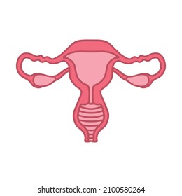 Cartoon Uterus, Vector, Illustration .