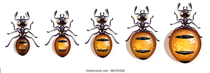 Cartoon vector ant animation. Vector character for app user interface.