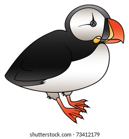 Cartoon vector, atlantic puffin.