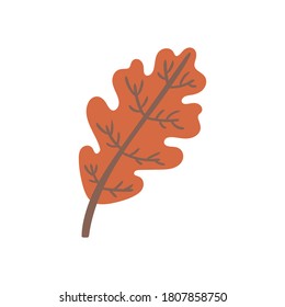 Cartoon vector autumn oak leaf