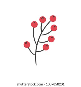 Cartoon vector branch rowan fruit