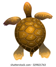 cartoon vector brown sea turtle
