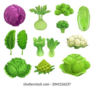 Cartoon vector cabbage and cauliflower vegetables, fresh farm food. Green and red cabbage, lettuce, broccoli and kohlrabi, kale, brussel sprouts and romanesco, bok choy and savoy cabbage