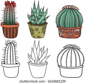 Cartoon vector cactus aloe set. With contours. Colored, isolated on white background