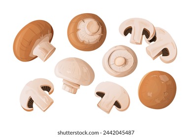 Cartoon vector champignons. Set of fresh various cut and whole mushroom. Collection of isolated cremini and portobello.