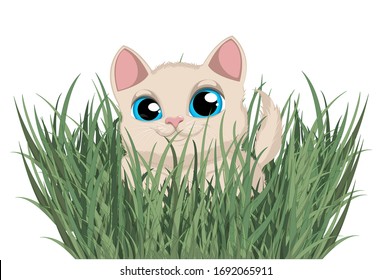 Cartoon vector character of a cute cat sitting in green grass.Cartoon vector illustration.Adorable kitty in garden.Vector illustration isolated on white background.