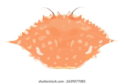 Cartoon vector crab shell isolated on white background. Sea food illustration.
