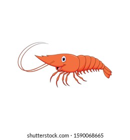 Cartoon vector of a Cute Shrimp isolated on white background