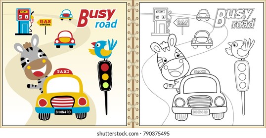 Cartoon vector of cute zebra driving car, bird perching on traffic light, traffic elements, coloring book