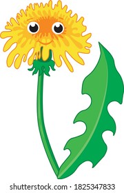 Cartoon Vector Dandelion Flower Illustration