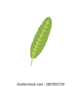 Cartoon vector decorative green leaf