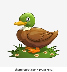 Cartoon vector duck