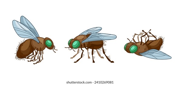 El vector de dibujos animados vuela en diferentes Poses. Insectos con alas vibrantes y cuerpo intrincado y delicado, criatura aerotransportada