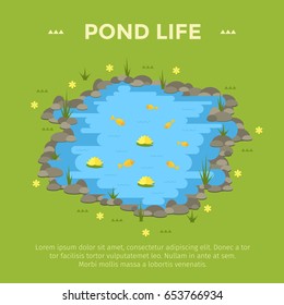 Cartoon vector garden pond illustration with water, plants and animals. Isolated summer pond life clipart in flat style.