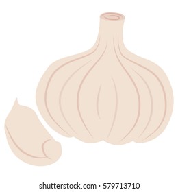 Cartoon Vector Garlic Illustration