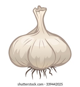 Cartoon vector garlic isolated on white
