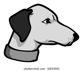 cartoon vector gray scale illustration Greyhound dog