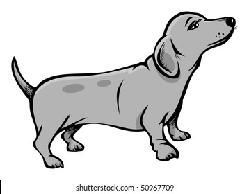 cartoon vector gray scale illustration wiener dog