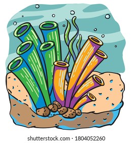 Cartoon Vector Hand Drawing Illustration of Undersea Corals and Seaweed