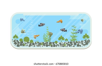 Cartoon vector home glass aquarium illustration with water, plants and fish. Isolated aquarium life clipart in flat style.