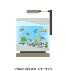 Cartoon vector home glass aquarium illustration with water, plants and fish. Isolated aquarium life clipart in flat style.