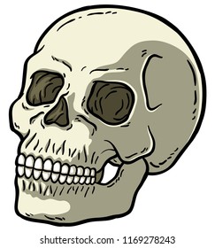 Cartoon Vector Human Skull