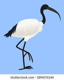 Cartoon vector icon of ibis isolated on blue. Sacred bird of Egypt, with long legs and narrow beak. Tropical African fauna