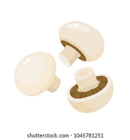 Cartoon vector icon illustration of mushroom champignon. Fresh cartoon organic mushroom isolated on white background used for magazine, book, poster, card, menu cover, web pages.