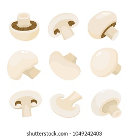 Cartoon vector icon illustration of mushroom champignon. Fresh cartoon organic mushroom isolated on white background used for magazine, book, poster, card, menu cover, web pages.