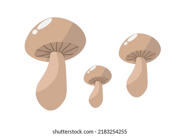 Cartoon vector icon illustration of mushroom on white background used for magazine, book, poster, card, menu cover, web pages.