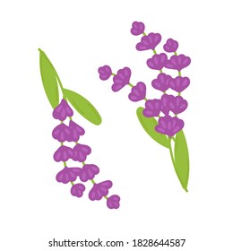 Cartoon-Vektorgrafik von Sprig Lavendel   einzeln auf weißem Hintergrund.