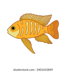 Cartoon Vector illustration african cichlids fish icon Isolated on White Background
