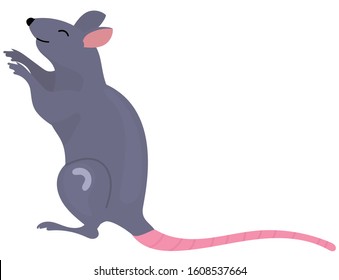 Cartoon Vector illustration animal mouse or rat isolated on wgite background