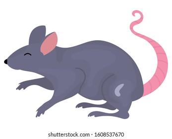 Cartoon Vector illustration animal mouse or rat isolated on wgite background