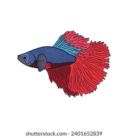 Cartoon Vector illustration betta fish icon Isolated on White Background