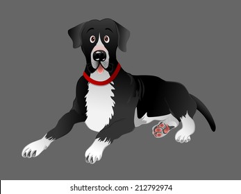 cartoon vector illustration of a black Great Dane dog laying 