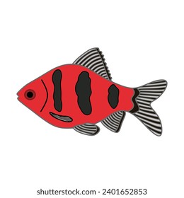 Cartoon Vector illustration black ruby barb fish icon Isolated on White Background