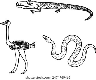 Cartoon vector illustration black and white 3-piece set of African animals crocodile, python, ostrich style on transparent background. Funny safari Animals isolated