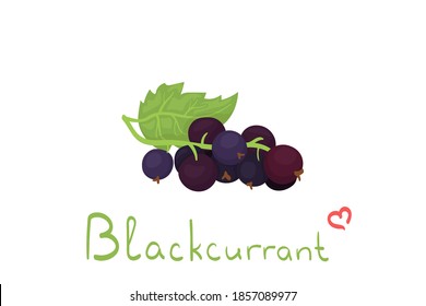 Ilustración vectorial de dibujos animados con corriente negra aislada en fondo blanco. Bayas cortas de verano con letras. Uso para impresión de tela, paquete de comida, papel de envoltura. Decoración de zumo/suavidad.
