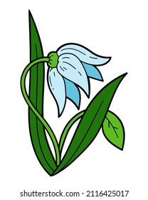 Cartoon vector illustration, Blue spring flower bell